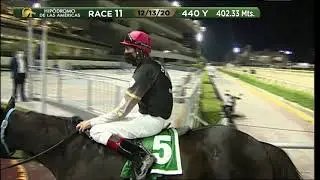 HIPÓDROMO DE LAS AMÉRICAS | EL SEVEN |XXXVII CLÁSICO CAMPEÓN DE CAMPEONES |