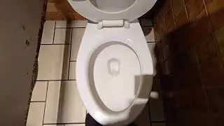 2007 Mansfield Quantum PA Toilet Flush | Parker Place, Richmond BC Canada | ft. @VancityElevators