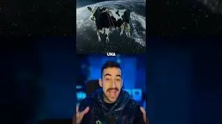 La mejor Inteligencia Artificial para crear videos #ia