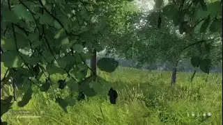 PS5 Dayz Clips Fuzzy's Revelation Server