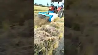 Paddy chopper , sardar agro bhagta bhai ka,9815118813