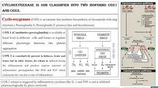 Difference between COX-1 and COX-2