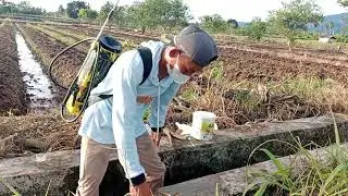 Perjuangan hidup.#wargatransmigrasi #papuabarat 