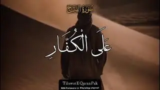 Muhammad ﷺ beautiful reading of the Holy Book 