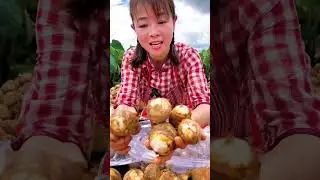 Baskets of taro root | Wonderful taro root harvesting by farmers #taroroot #happyseeder #cassiaseeds