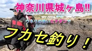 これから行く方は参考にしていただければと思います！神奈川県城ヶ島のヒナダンにて、久々のフカセ釣りをしてきました！釣果のほどはいかに⁈