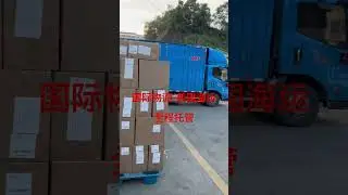 US Ocean Shipping Full Custody Double Clearance and Duty Free Delivery to Door