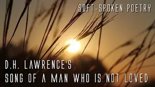 Soft-Spoken Poems: Song Of A Man Who is Not Loved by D.H. Lawrence