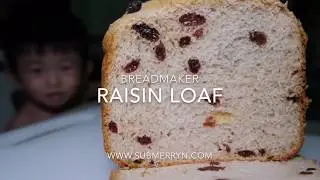 Easy Failproof Breadmaker recipe   Raisin Loaf