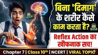 नियंत्रण एवं समन्वय | Control and Coordination Class 10 | Chapter 7 Full Explanation | NCERT + BSEB