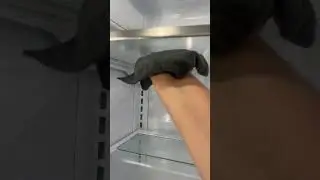 Fridge clean out #fridge #cleaningvideos #fridgecleanout #latinamom #cleaning