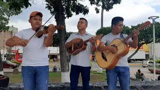 La Rosita arribeña con el trio Huapangueros Infalibles