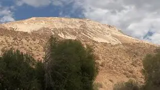 AL NATURAL LAS MELOSAS