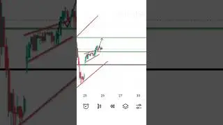 Why the stock market rose today?
