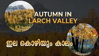 Fall in USA| Larchvalley, Canada |മരങ്ങളിൽ പൂക്കൾ ഇല്ലാത്ത വർണ്ണ വസന്തം | JLAttingal
