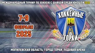 8.02.2025. ХГ. 2012. Горки - PRO Hockey