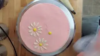 Pink Daisy Cake