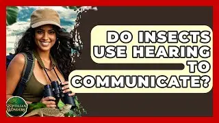 Do Insects Use Hearing To Communicate? - Reptilian Wonders