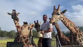 Wildlife Watching with Healthy Harold