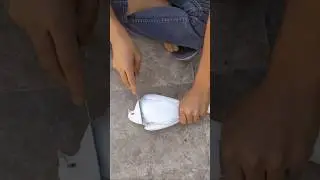 Lakwe ka ilaj &hearts;️ lakwe waly kabootar ke Liye new trick &hearts;️#pigeon #kabutar #lakwe #kabootarbaaz