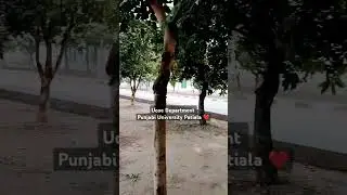Ucoe Department Punjabi University Patiala ❤️