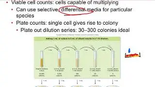 Detecting Bacterial Growth