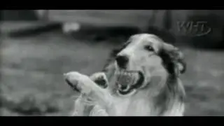 Lassie - SEASON 1