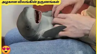 இதயத்தை உருக்கும் விலங்கு குணம் | Most Amazing Animal Moments | Story Bytes Tamil