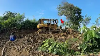 CAT D6R XL Bulldozer Expert Engineering Forms Highly Defiant Palm Oil Terraces