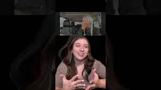 Internet History 4- Brittany Dawn's Dog Pays the Price of Her Carelessness (Shortform Recap)