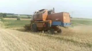 ŻNIWA 2008 cz.2