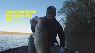 Pickwick Lake Smallmouth
