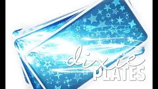 DIXIE PLATES HAUL | Stamping Plate Haul