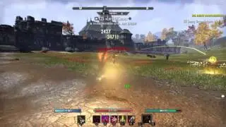 The Elder Scrolls Online:The Problem With Magblades