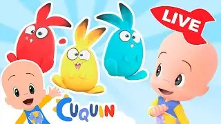 🔴DIRECTO🔴 Aprende  colores,  números y formas con Cuquín | Videos educativos