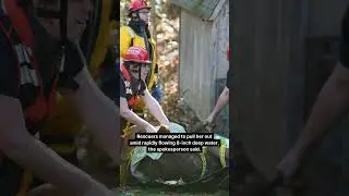 Cow missing for two months took three days to rescue near CT brook