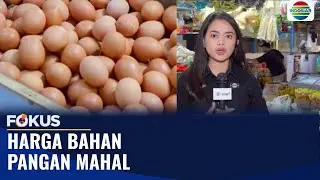 Harga Telur Ayam Melonjak, Tembus Rp32 Ribu per Kilogram | Fokus