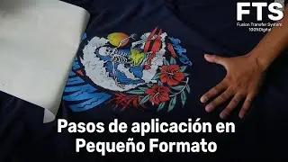 FTS  Pasos de Aplicaci&oacute;n |Tutorial 2|