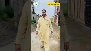 - Pine City Haripur