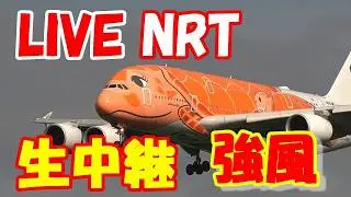 🔴LIVE at NARITA International Airport Plane Spotting　20256.01.31 成田空港ライブカメラ 成田空港　NRT/RJAA