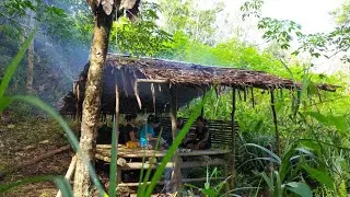 Petualangan Gadis Dayak di Alam Kalimantan || Jelajah Hutan Bendungan Setan