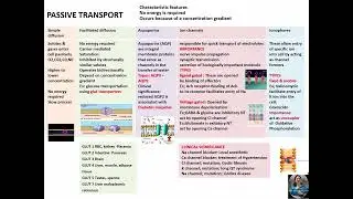 #PASSIVE transport mechanism