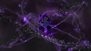 Simply Co. - Just feel the power