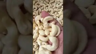Cashew kernel