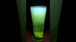 Kiwi Crush