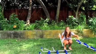 Poolscape Ladder Assembly