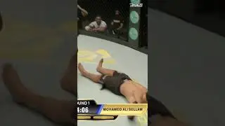 That one front kick KO at BRAVE CF 67 by Osama Elseady🦵🔥#bravecf #shorts