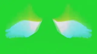 Zoom Wings green screen 