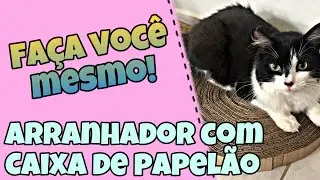 ARRANHADOR COM CAIXA DE PAPELÃO: Faça você mesmo!