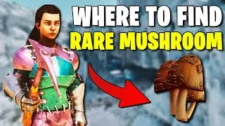 WHERE TO FIND RARE MUSHROOMS - ARK SURVIVAL ASCENDED - RAGNAROK